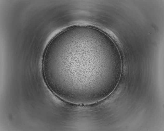 X0000110941183200906261254