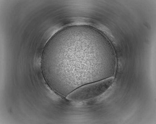 X0000110941185200906261254