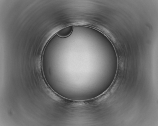 X0000110941186200906261254