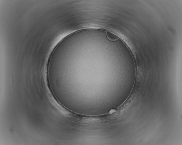 X0000110941187200906261254