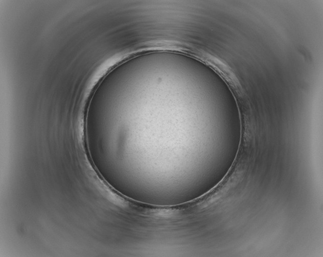 X0000110941188200906261254