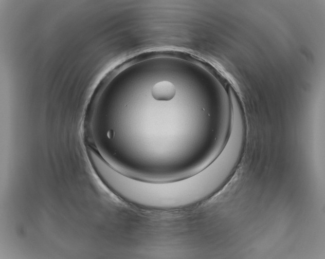 X0000110941189200906261254