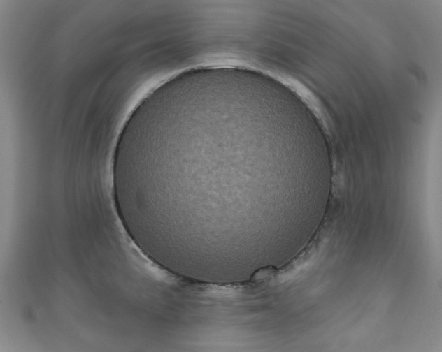 X0000110941191200906261254