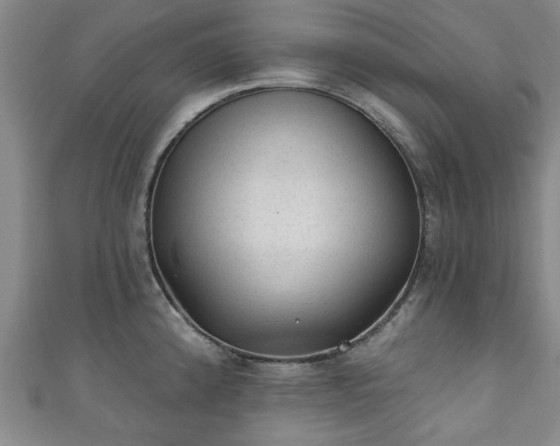 X0000110941192200906261254