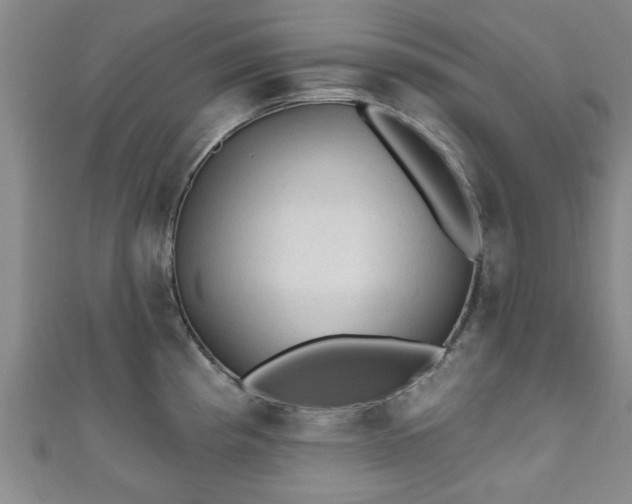 X0000110941193200906261254