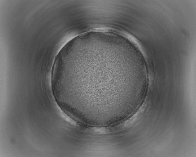 X0000110941194200906261254