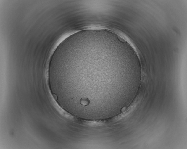 X0000110941195200906261254