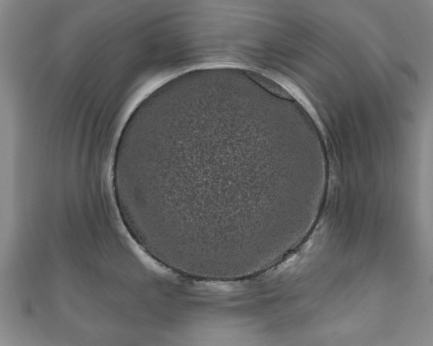 X0000110941197200906261254