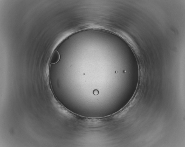 X0000110941198200906261254