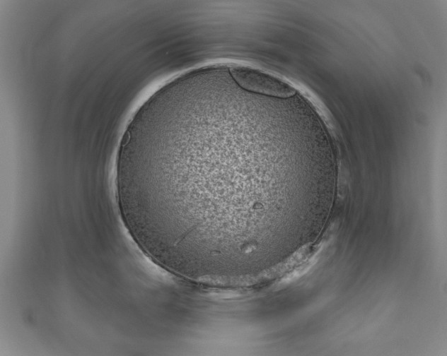 X0000110941199200906261254