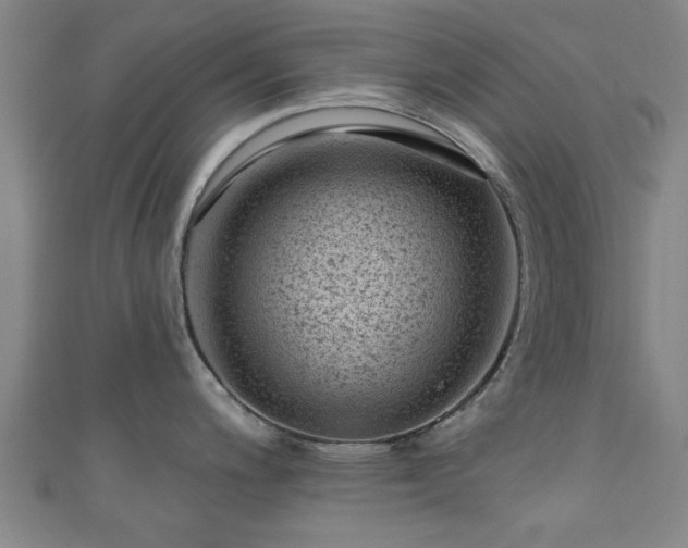 X0000110941200200906261254