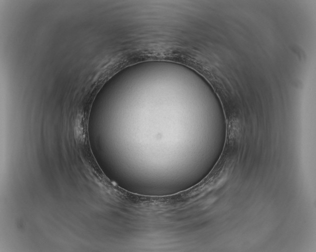 X0000110941202200906261253