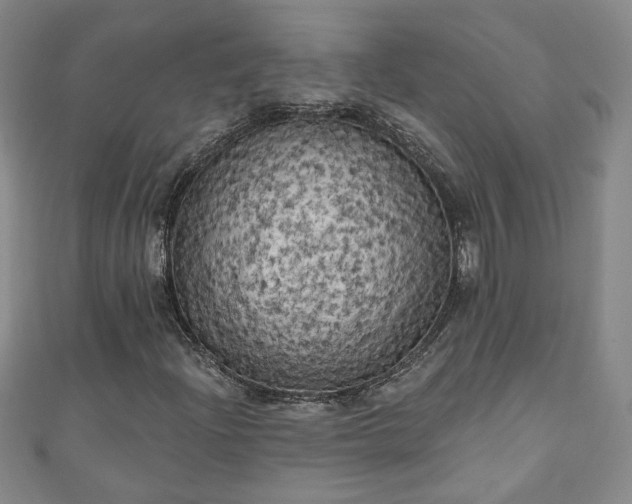 X0000110941204200906261253