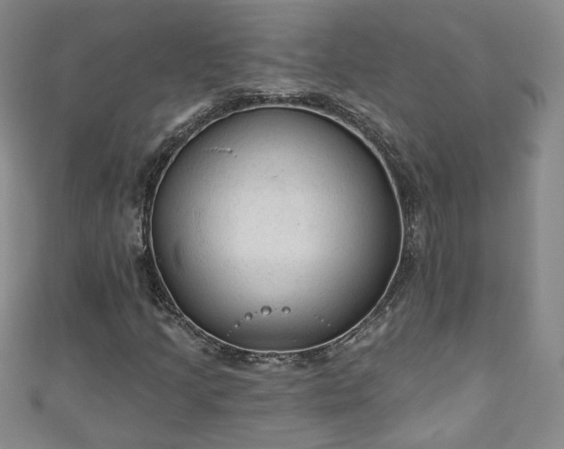 X0000110941205200906261253