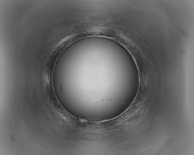 X0000110941206200906261253