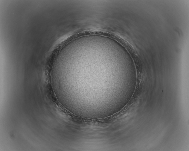 X0000110941207200906261253