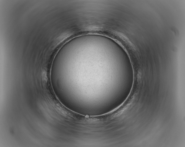 X0000110941209200906261253