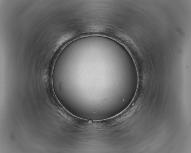 X0000110941210200906261253