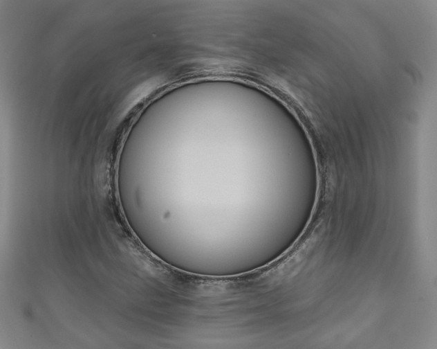 X0000110941211200906261253