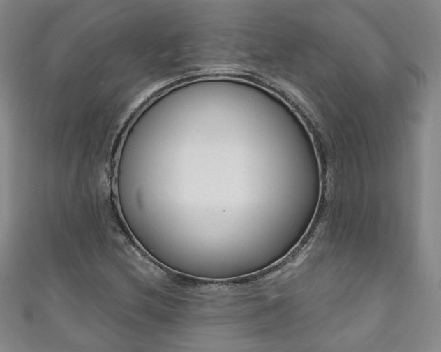 X0000110941212200906261253