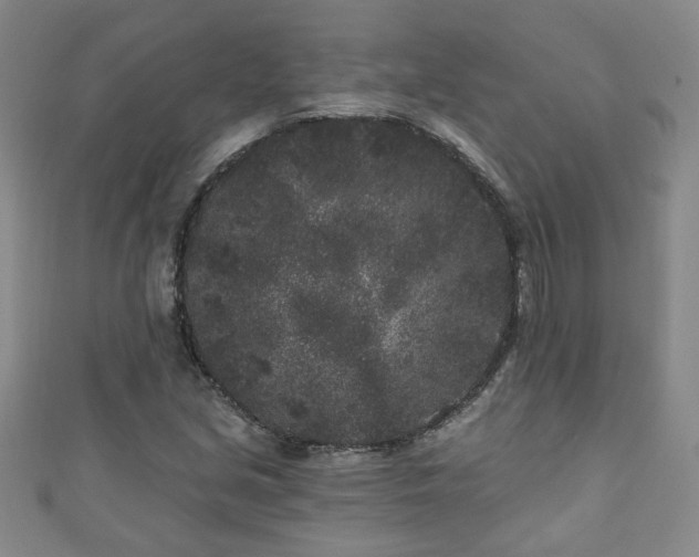 X0000110941213200906261254