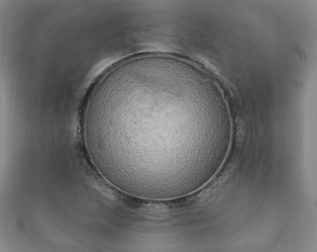 X0000110941215200906261254