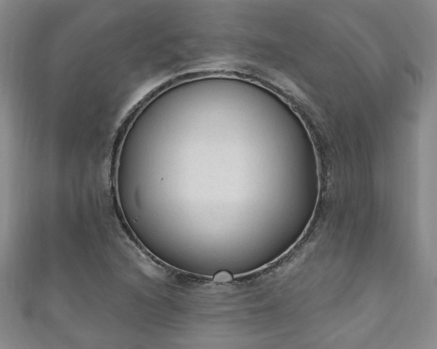 X0000110941216200906261254