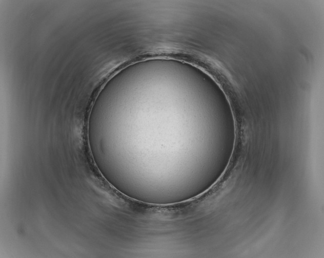 X0000110941217200906261254