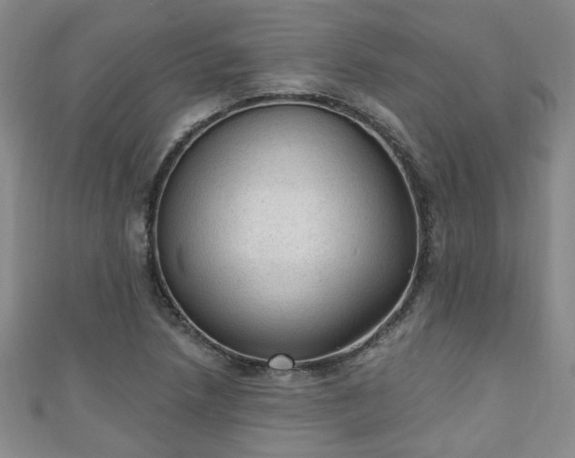 X0000110941218200906261254