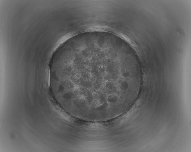 X0000110941219200906261254