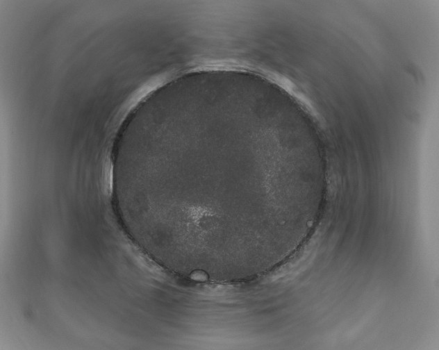 X0000110941221200906261254