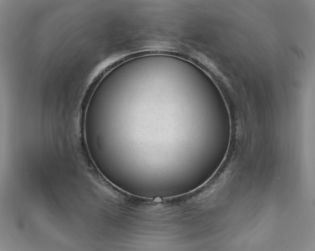 X0000110941222200906261254