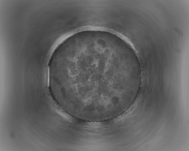 X0000110941223200906261254