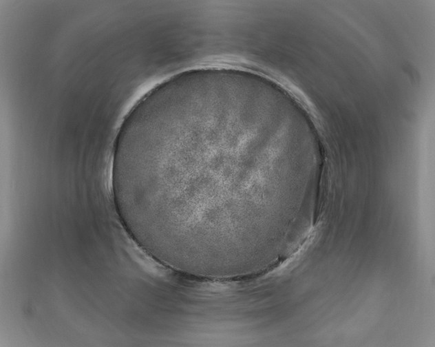 X0000110941224200906261254