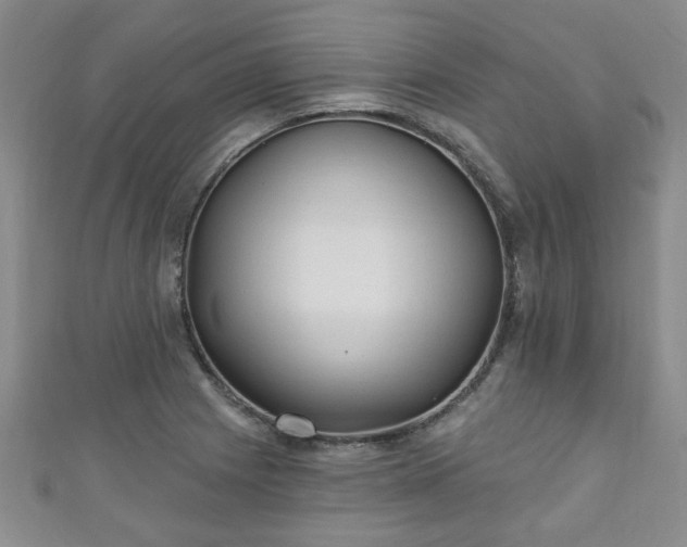 X0000110941225200906261254