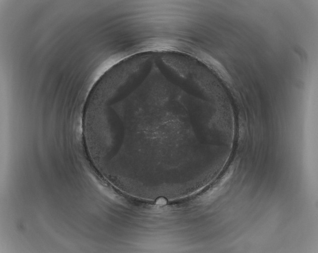 X0000110941226200906261254