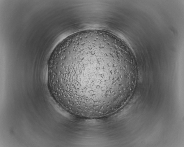 X0000110941227200906261254