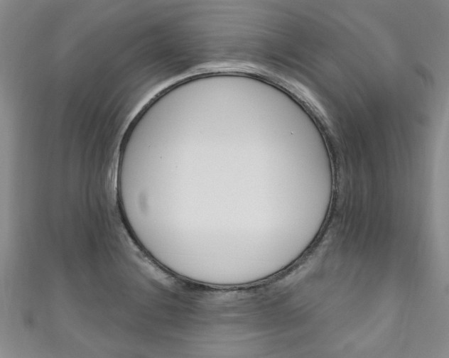 X0000110941228200906261254