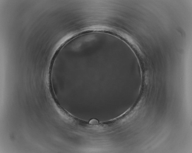 X0000110941229200906261254