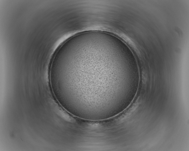 X0000110941230200906261254