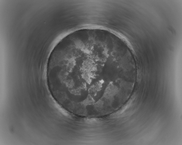 X0000110941231200906261254