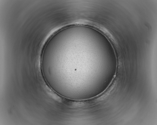 X0000110941232200906261254