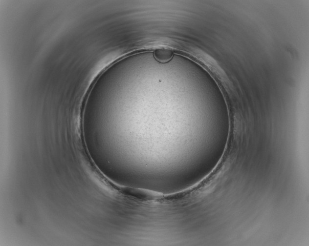 X0000110941234200906261254