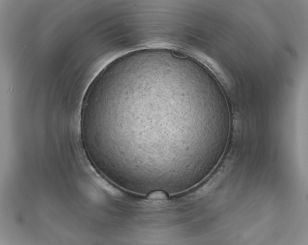 X0000110941236200906261254