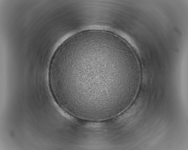 X0000110941237200906261254