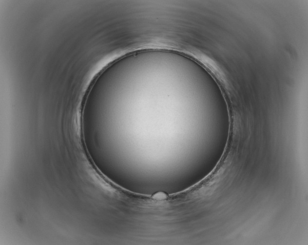 X0000110941238200906261254