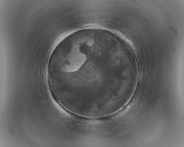 X0000110941239200906261254