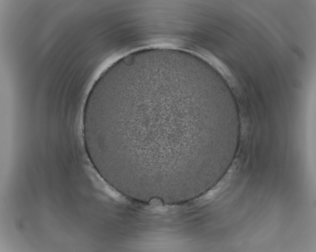 X0000110941240200906261254