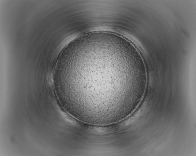 X0000110941241200906261254