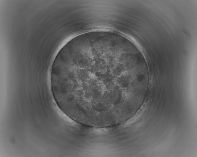 X0000110941243200906261254